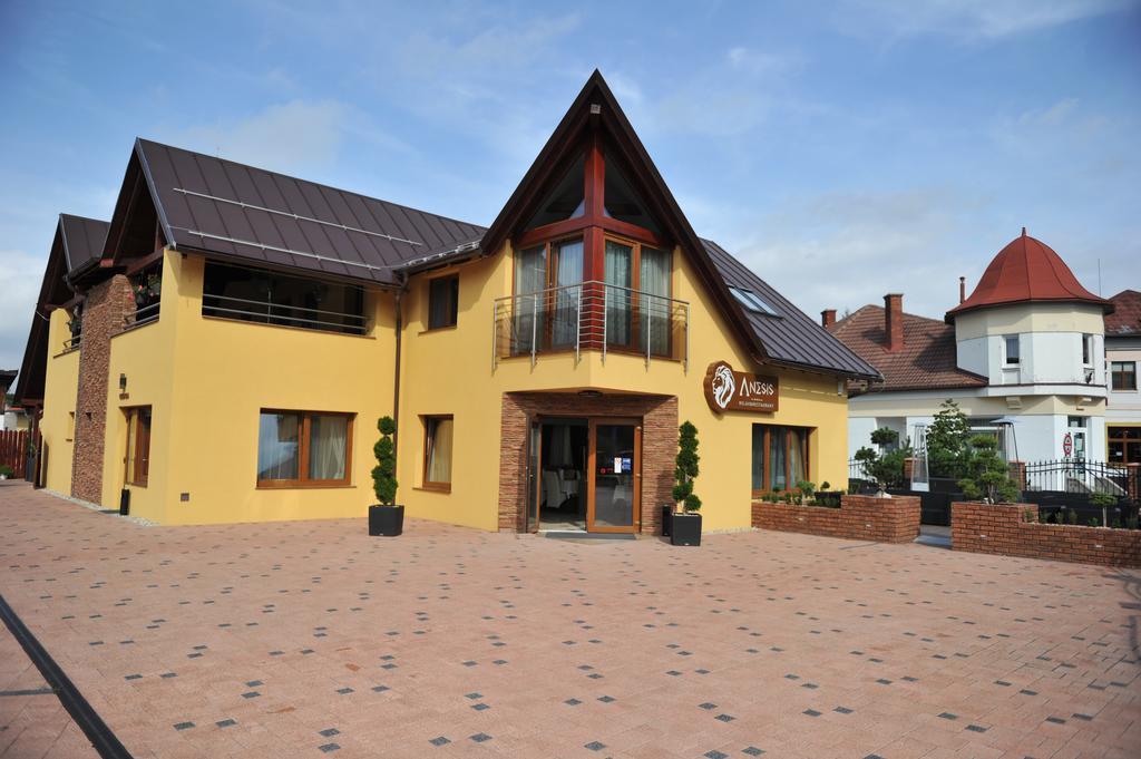 Penzion Anesis - Studia Turčianske Teplice Extérieur photo